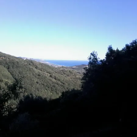 L'upupa Stella Cilento