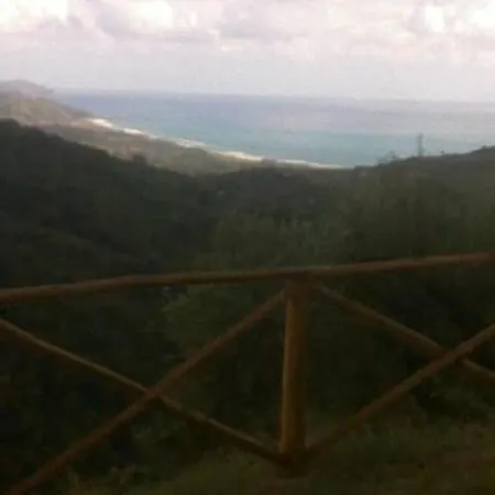 L'upupa Stella Cilento